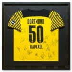 Einrahmung-Trikot-BVB-Front